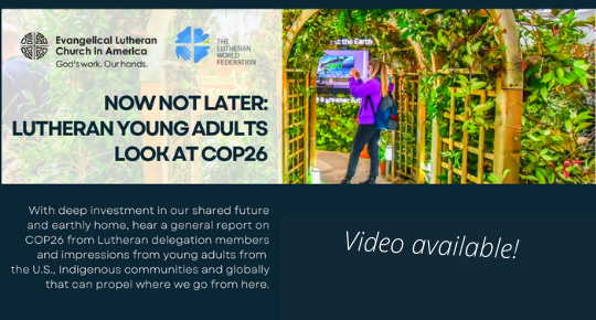 video of cop26 young adult report