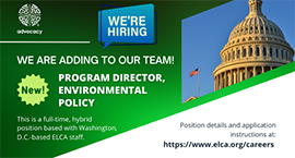 job environment program director