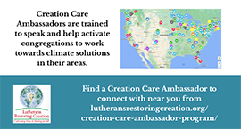 creation care ambassadors lrc