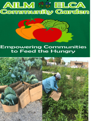 Feeding the Hungry from Gardening